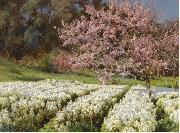 Antonio Mancini Spring blossom Sweden oil painting artist